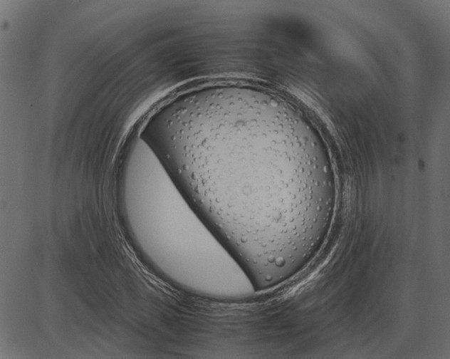 X0000086740925200704130728