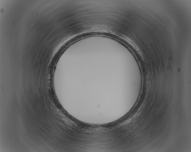 X0000086740926200704130729