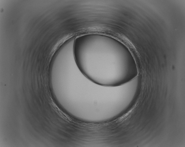 X0000086740930200704130729