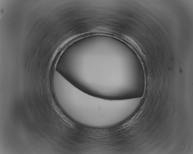 X0000086740931200704130729