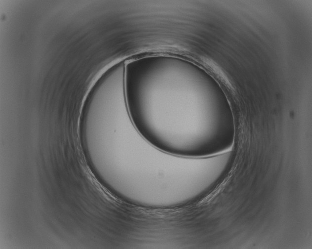 X0000086740932200704130729