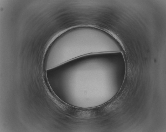 X0000086740935200704130729