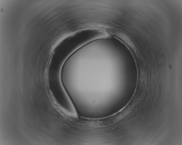 X0000086740936200704130729