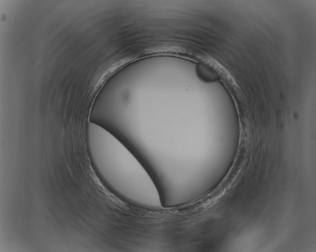 X0000086740937200704130729