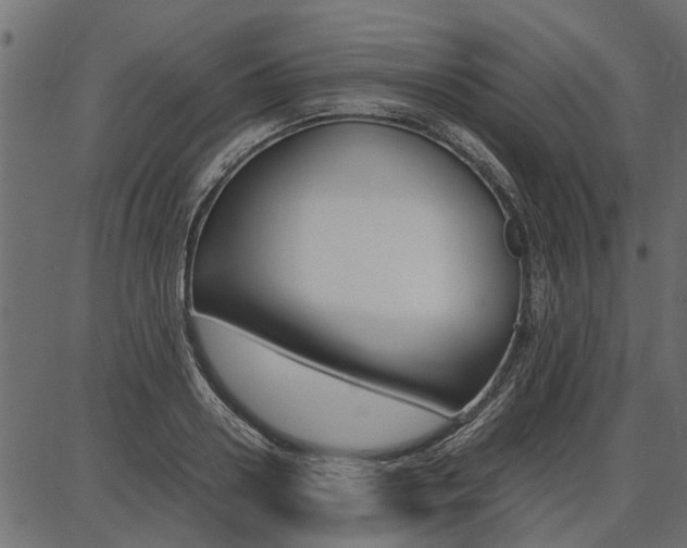 X0000086740938200704130729