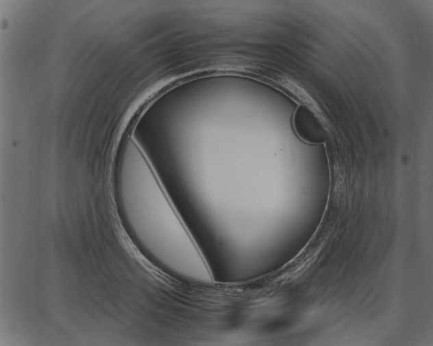 X0000086740939200704130729