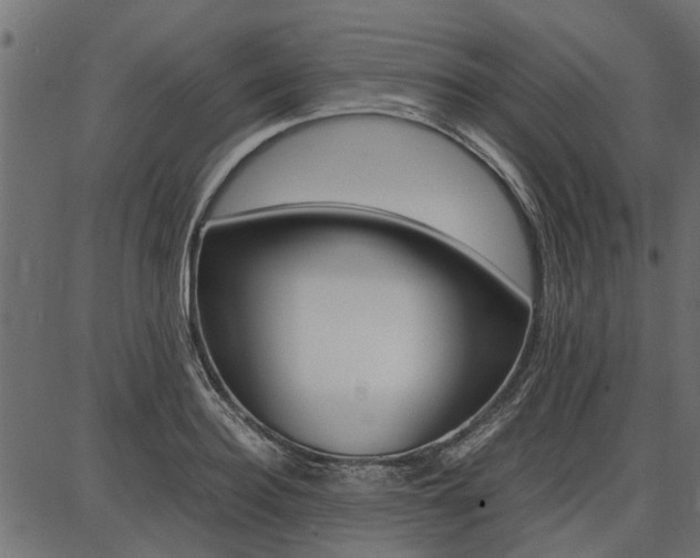 X0000086740940200704130729