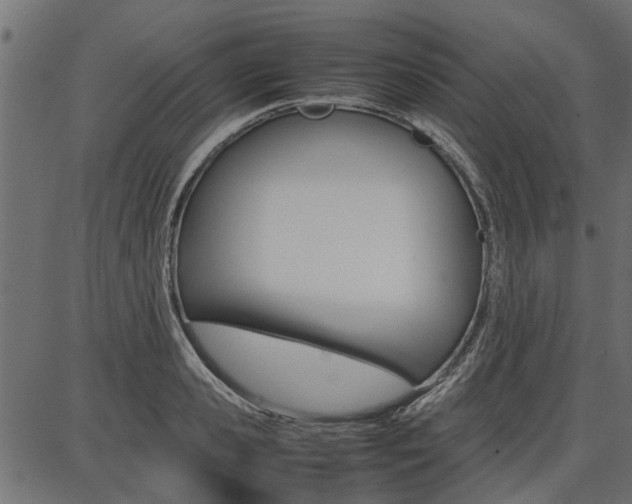 X0000086740941200704130729