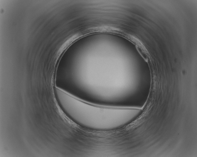 X0000086740946200704130729