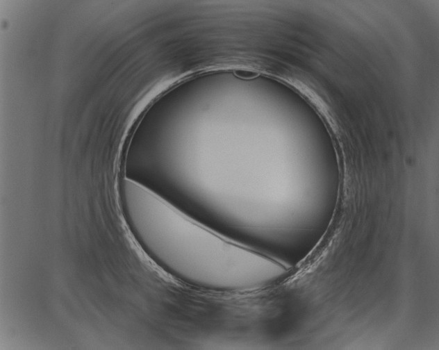 X0000086740949200704130729