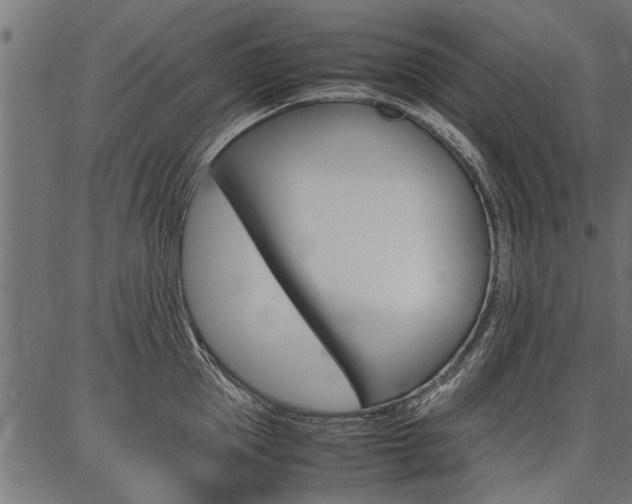 X0000086740953200704130729