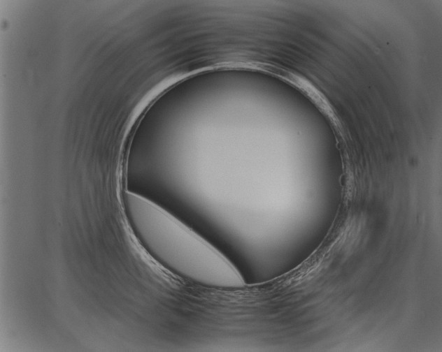 X0000086740955200704130729