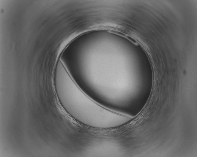 X0000086740960200704130729