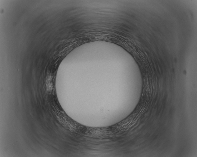 X0000086740962200704130728