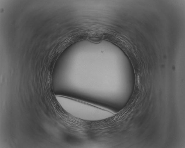 X0000086740963200704130728