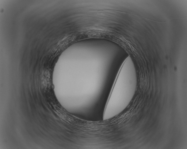 X0000086740964200704130728