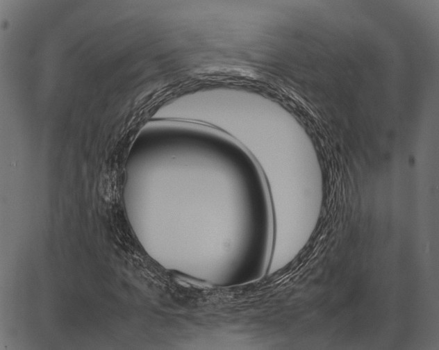 X0000086740965200704130728