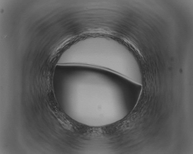 X0000086740968200704130728