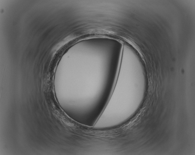 X0000086740971200704130728