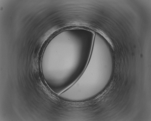 X0000086740972200704130728