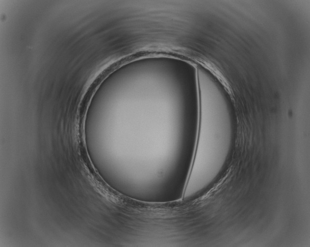 X0000086740976200704130728