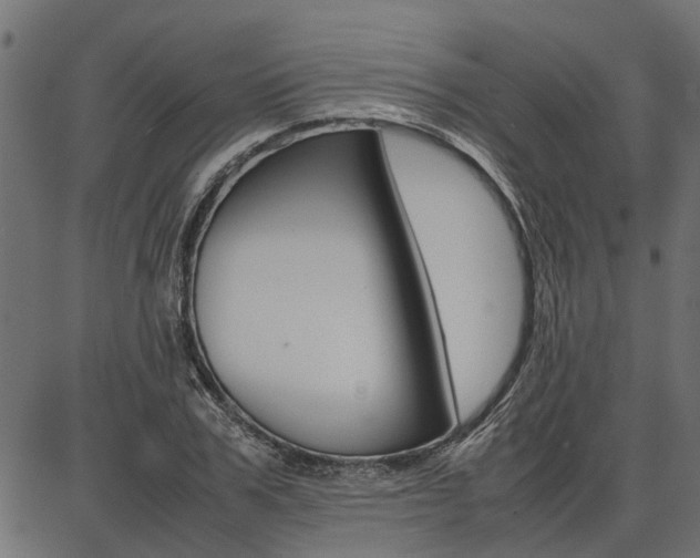 X0000086740979200704130728