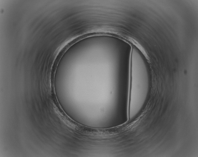 X0000086740980200704130728