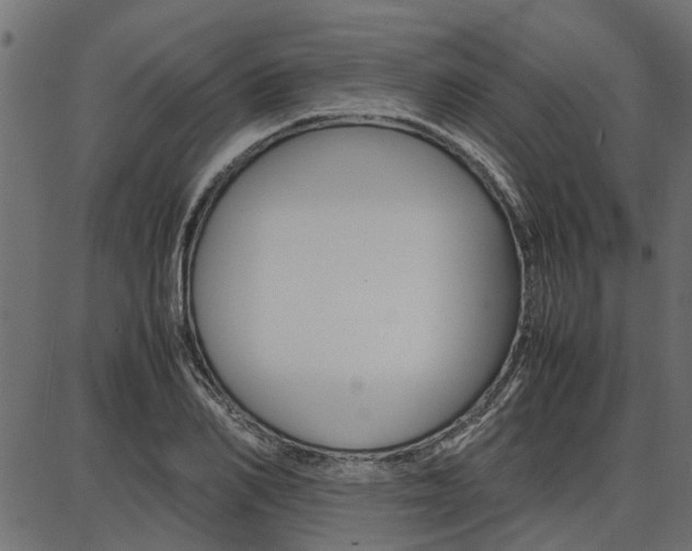 X0000086740982200704130728