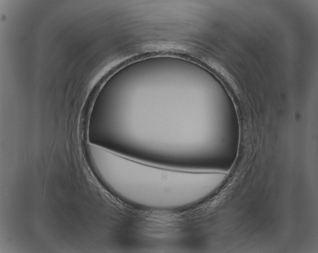 X0000086740983200704130728