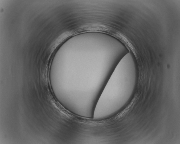 X0000086740986200704130728
