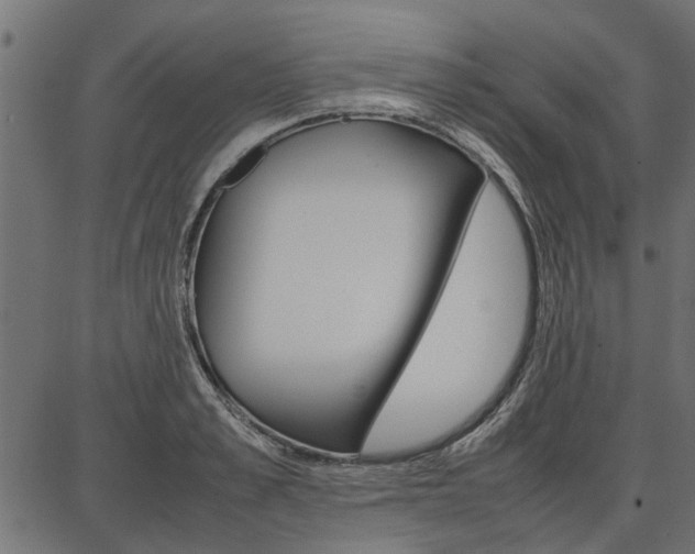 X0000086740989200704130728
