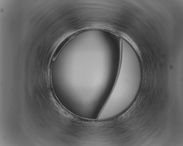 X0000086740996200704130728