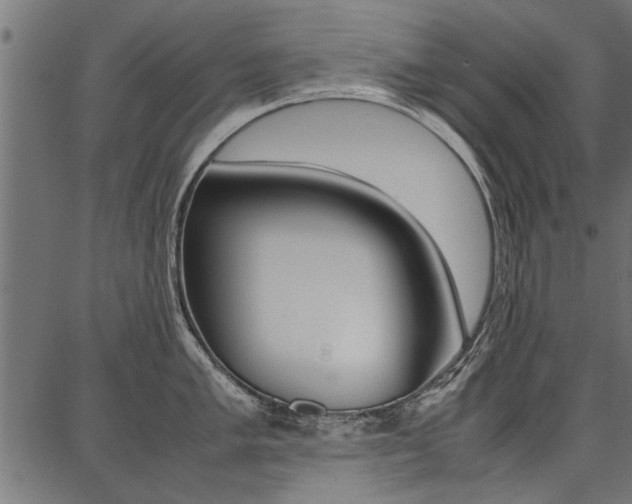 X0000086741005200704130728