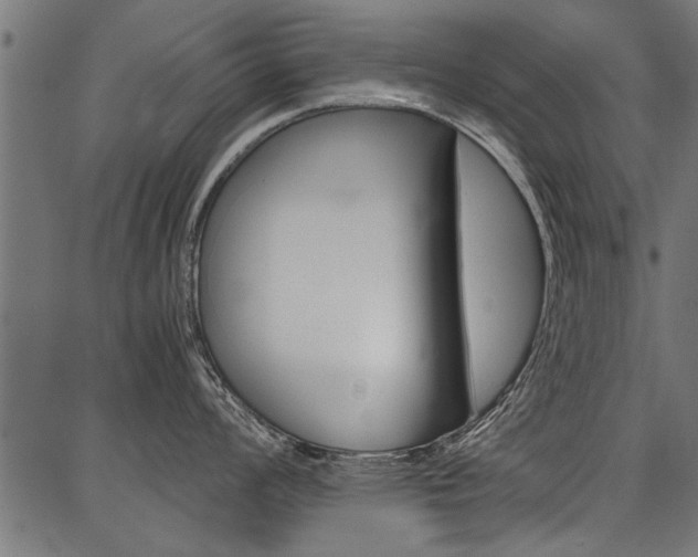 X0000086741008200704130727