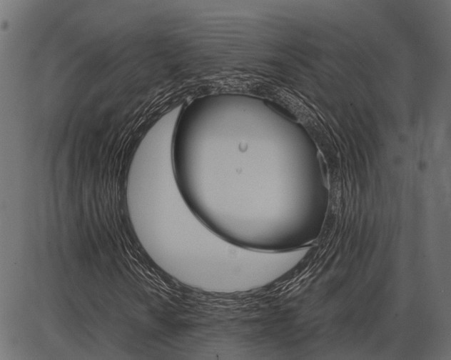X0000086741010200704130727