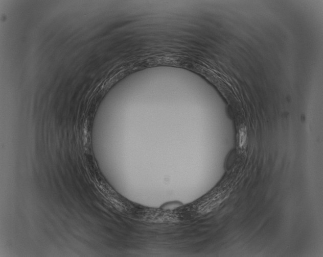 X0000086741011200704130727