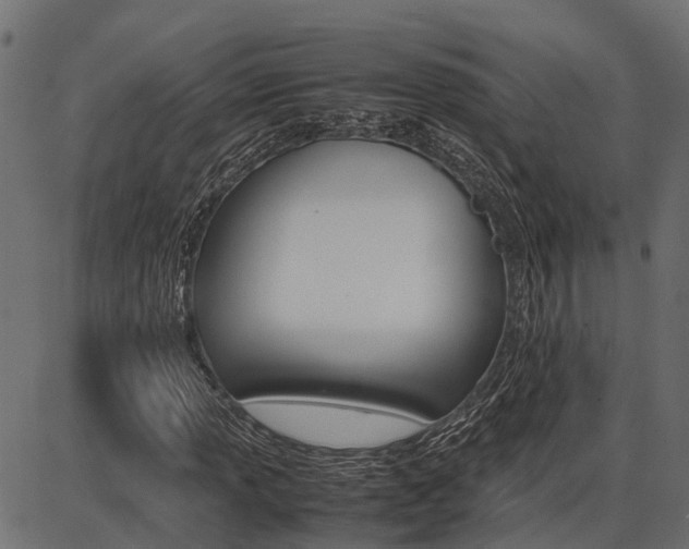 X0000086741013200704130727