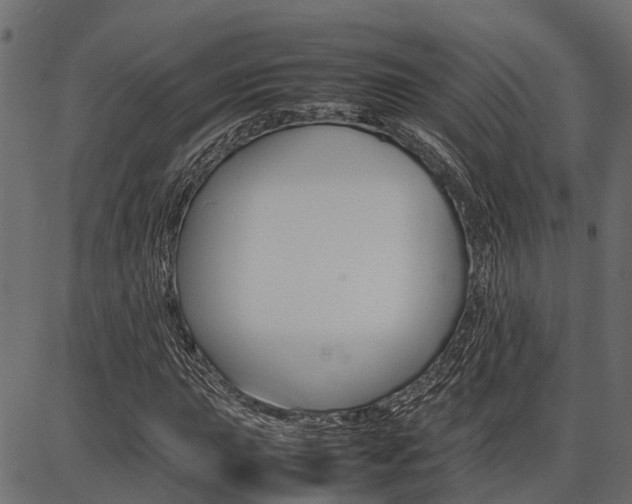 X0000086741015200704130727