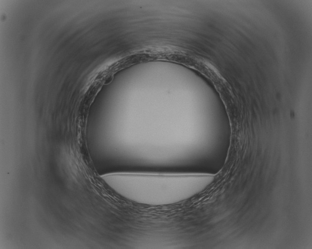 X0000086741016200704130727