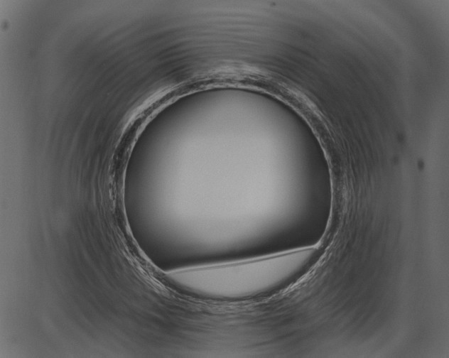 X0000086741018200704130727