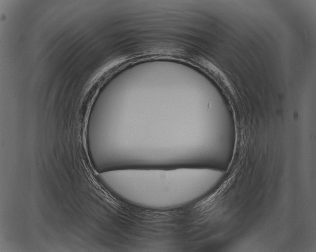 X0000086741019200704130727