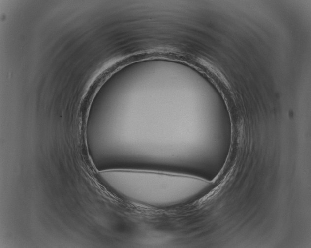 X0000086741021200704130727