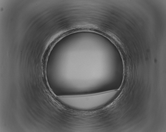 X0000086741022200704130727