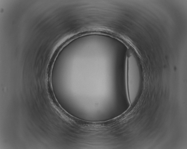 X0000086741024200704130727