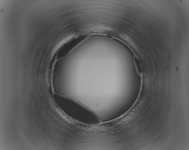 X0000086741026200704130727