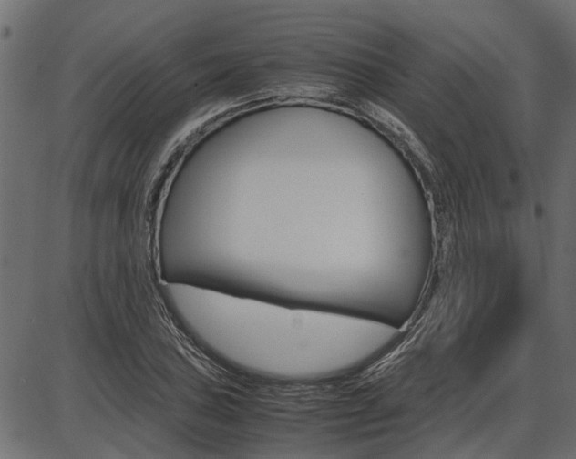 X0000086741027200704130727