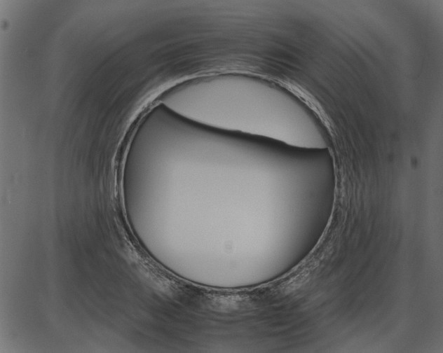 X0000086741031200704130727