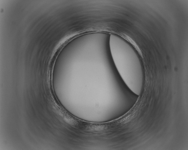 X0000086741035200704130727