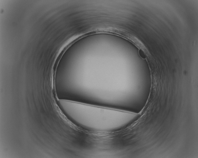 X0000086741036200704130727