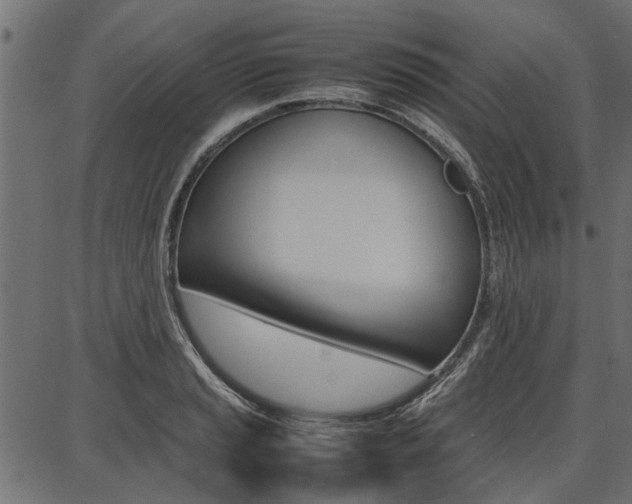 X0000086741037200704130727